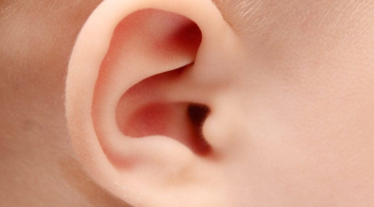 听力快讯丨Sensorion 宣布 Audiogene SENS-501 临床试验取得积极数据-杭州听工场科技有限公司