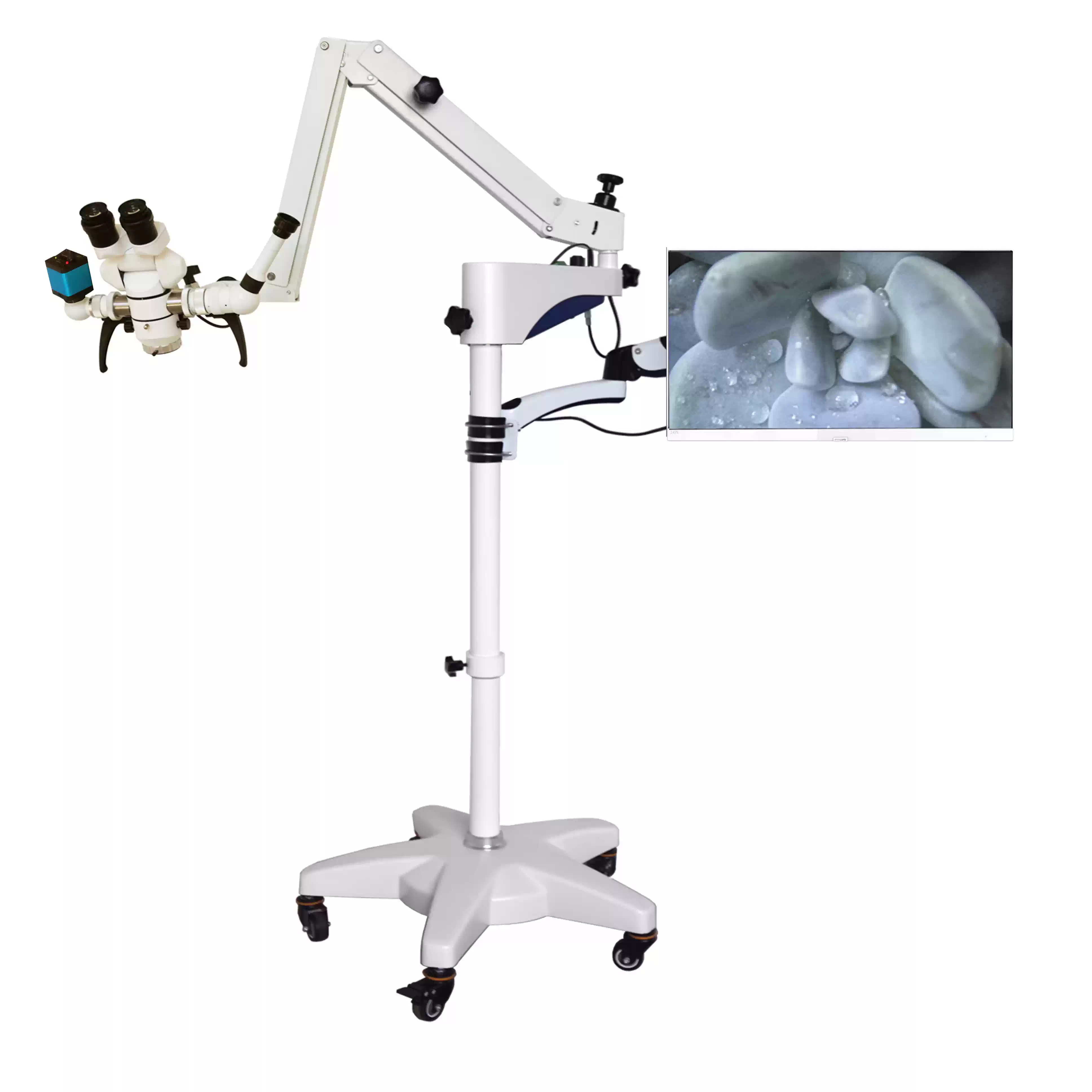 YSX180 Single Operator Surgical Microscope Otolaryngology 8x Observation Mirror Adjustable LED Lights 0-180 Inclinable Ear