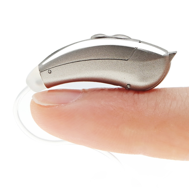 Professional Ear and Hearing Products Digital Wireless Amplifier Hearing Aid with Case