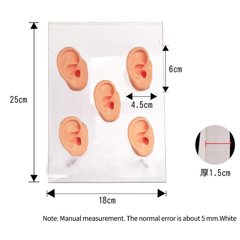 TINGOTON Acrylic Transparent High Quality Head Display Board Ear Mold Display Showing Stand 155x195x15mm product detail