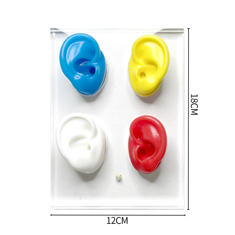 TINGOTON Acrylic Transparent High Quality Head Display Board Ear Mold Display Showing Stand 155x195x15mm product detail