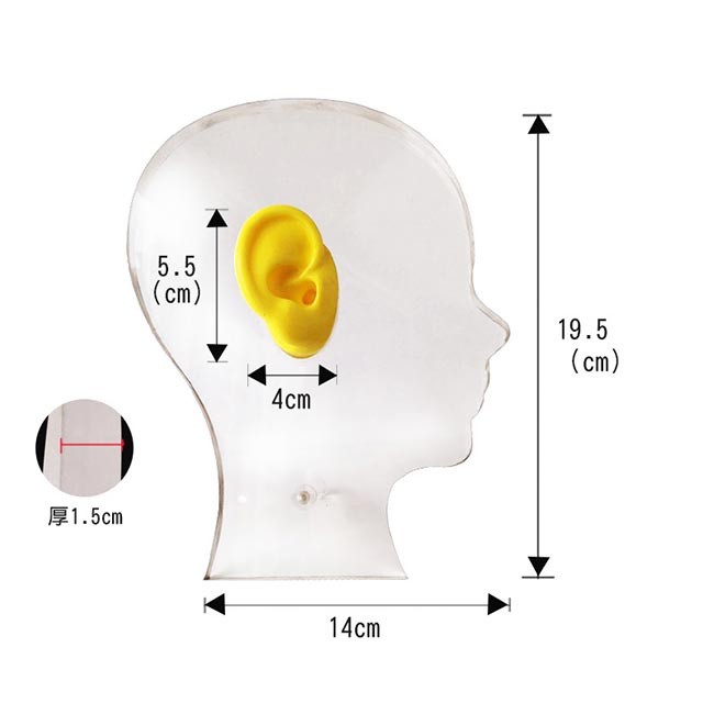 TINGOTON Acrylic Transparent High Quality Head Display Board Ear Mold Display Showing Stand 155x195x15mm product detail