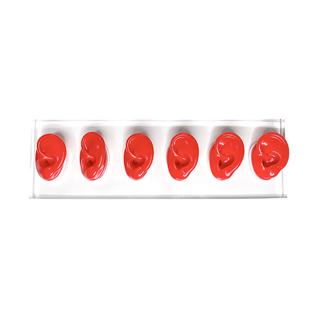 TINGOTON Acrylic Transparent High Quality Head Display Board Ear Mold Display Showing Stand 155x195x15mm product detail